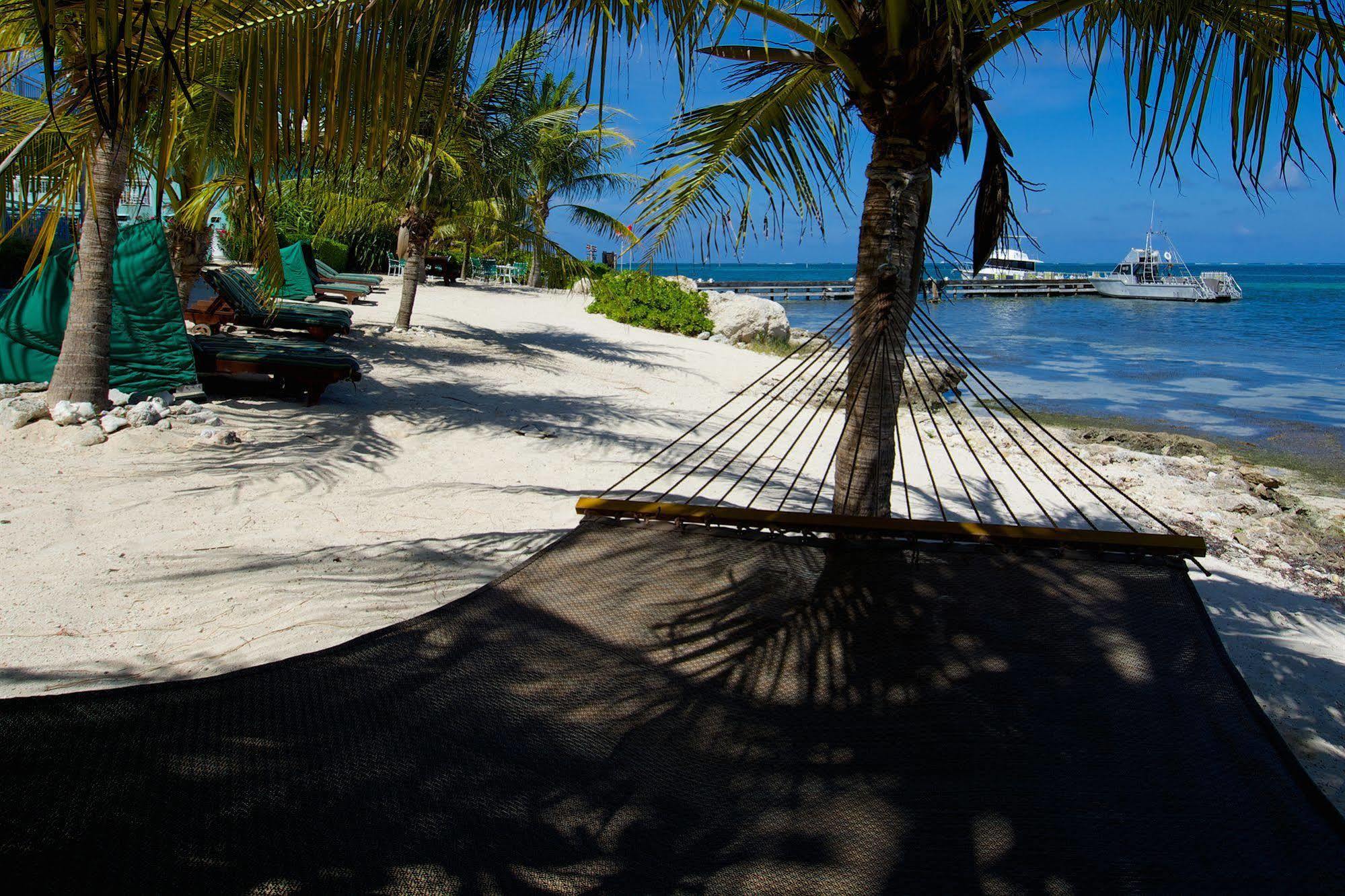 Compass Point Dive Resort Gun Bay Exteriör bild
